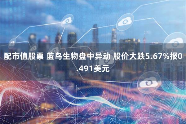 配市值股票 蓝鸟生物盘中异动 股价大跌5.67%报0.491美元