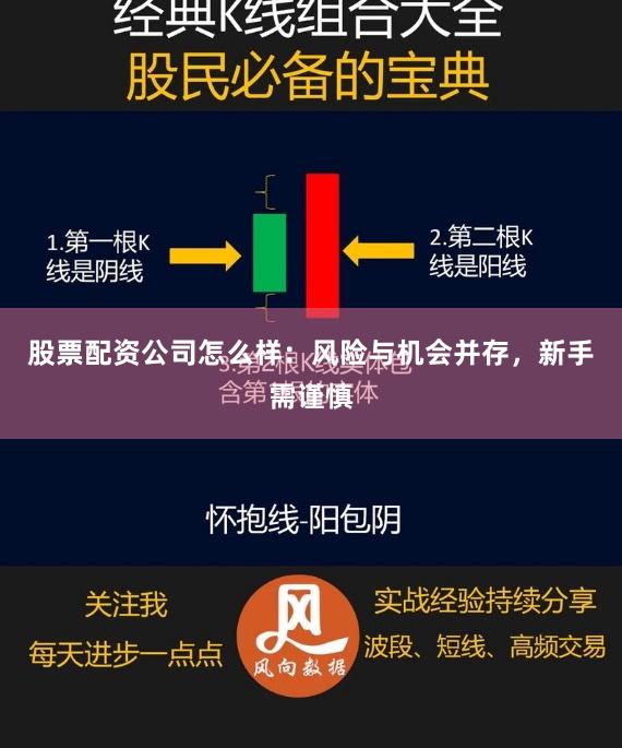股票配资公司怎么样：风险与机会并存，新手需谨慎