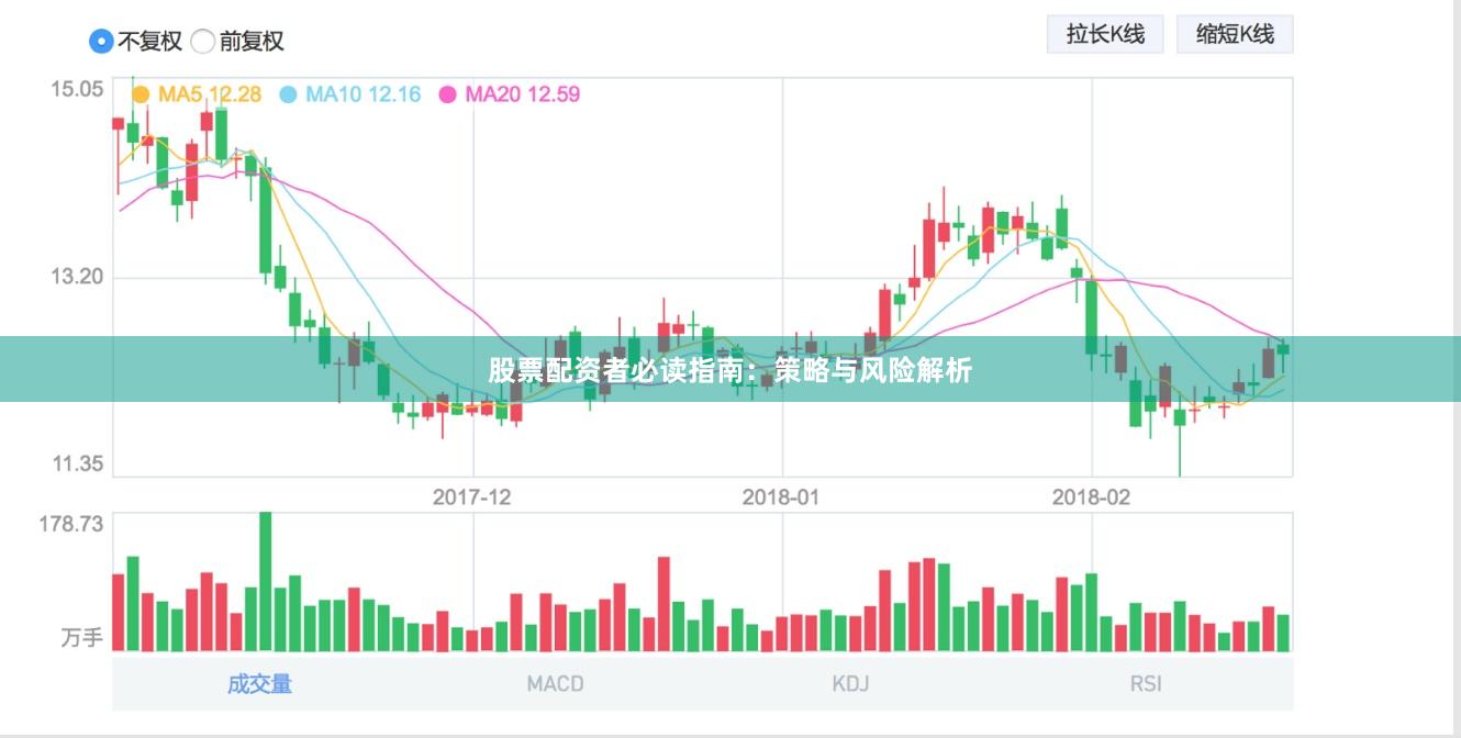 股票配资者必读指南：策略与风险解析
